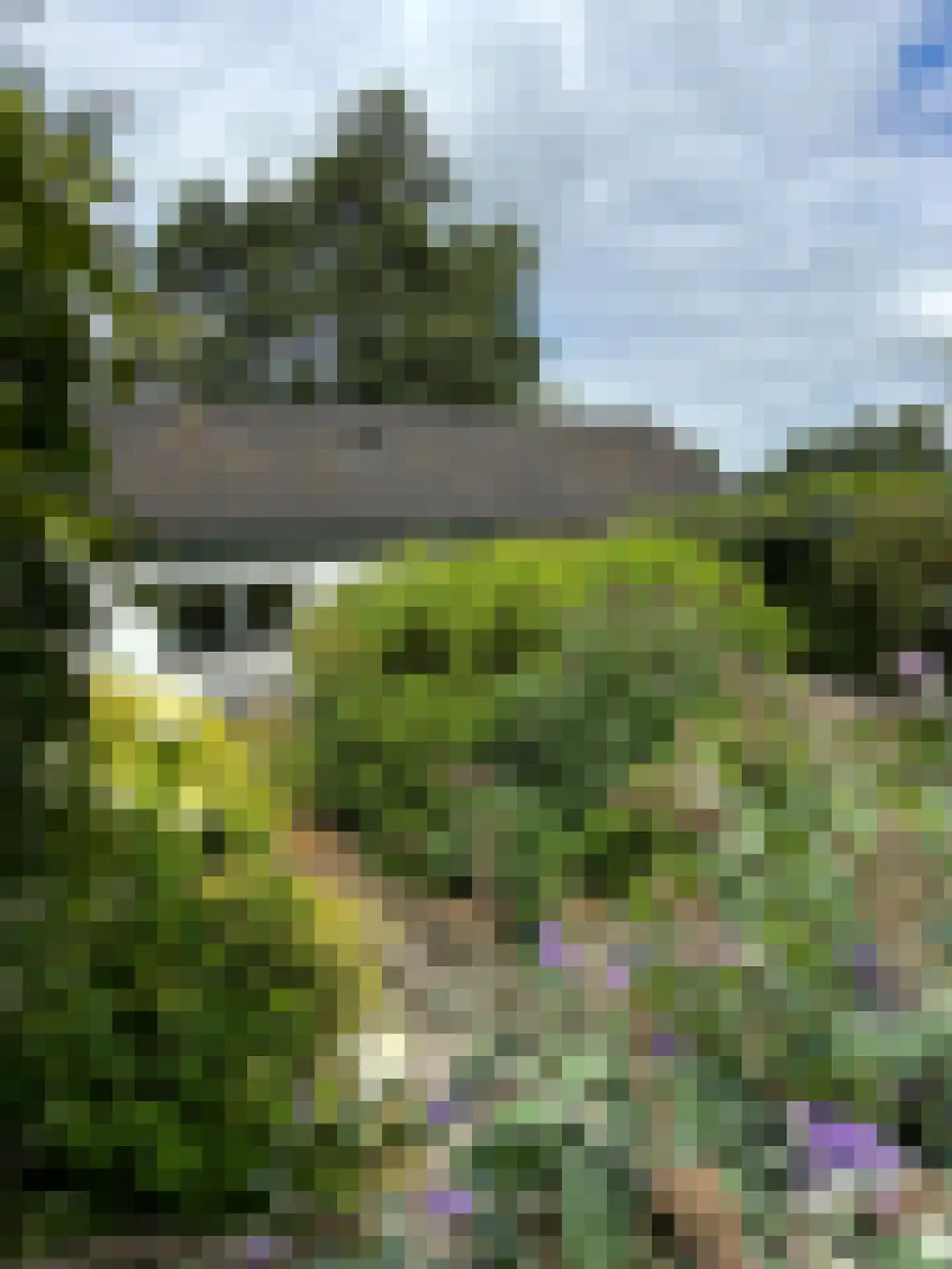 't Pad 13 Niebert thumbnail 73
