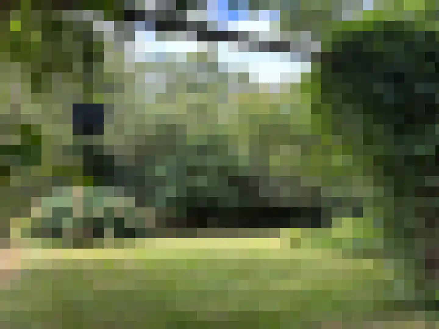 't Pad 13 Niebert thumbnail 76