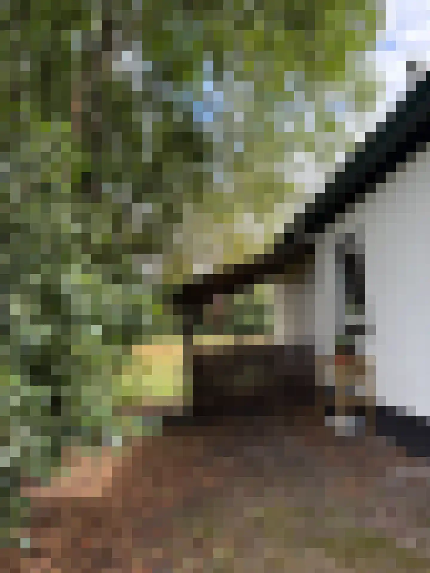 't Pad 13 Niebert thumbnail 78