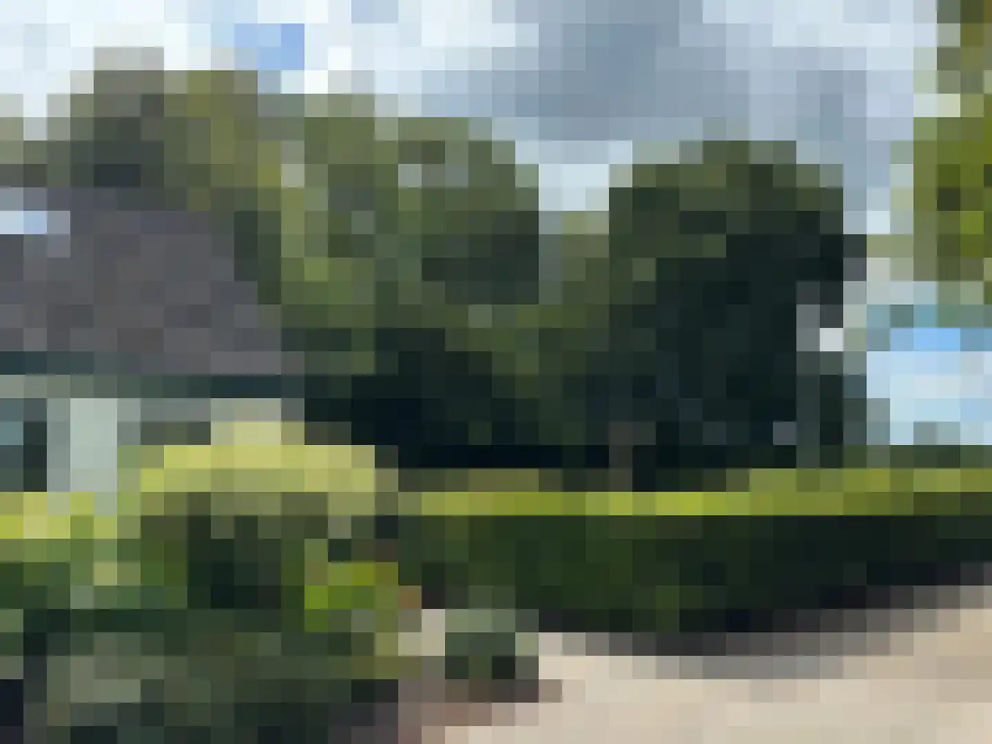 't Pad 13 Niebert thumbnail 80