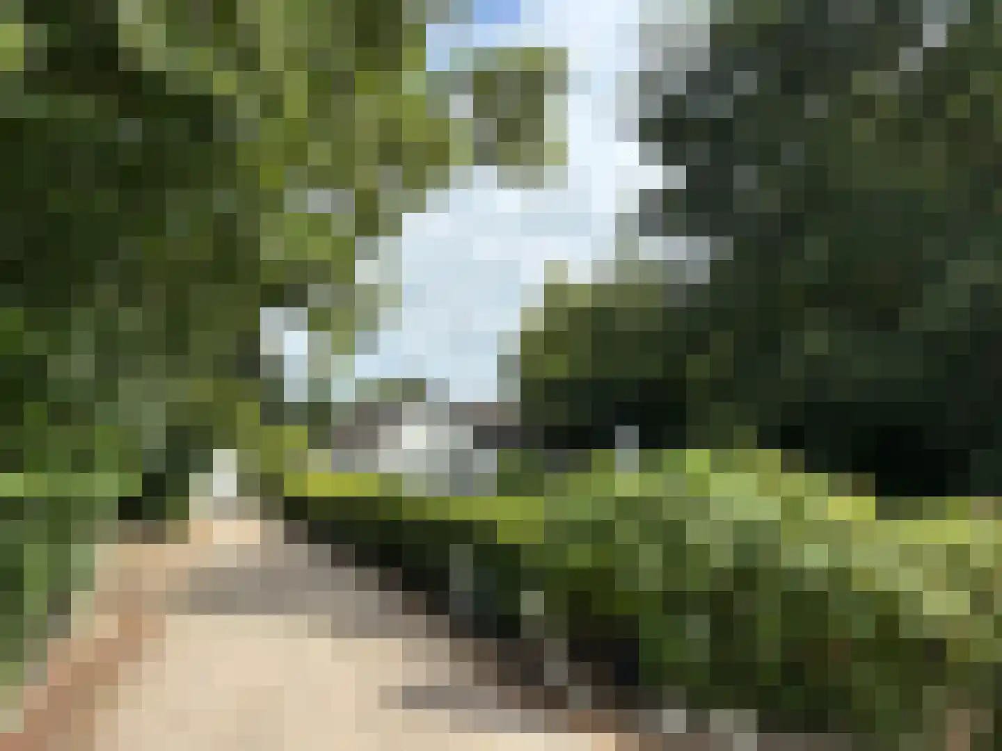 't Pad 13 Niebert thumbnail 82
