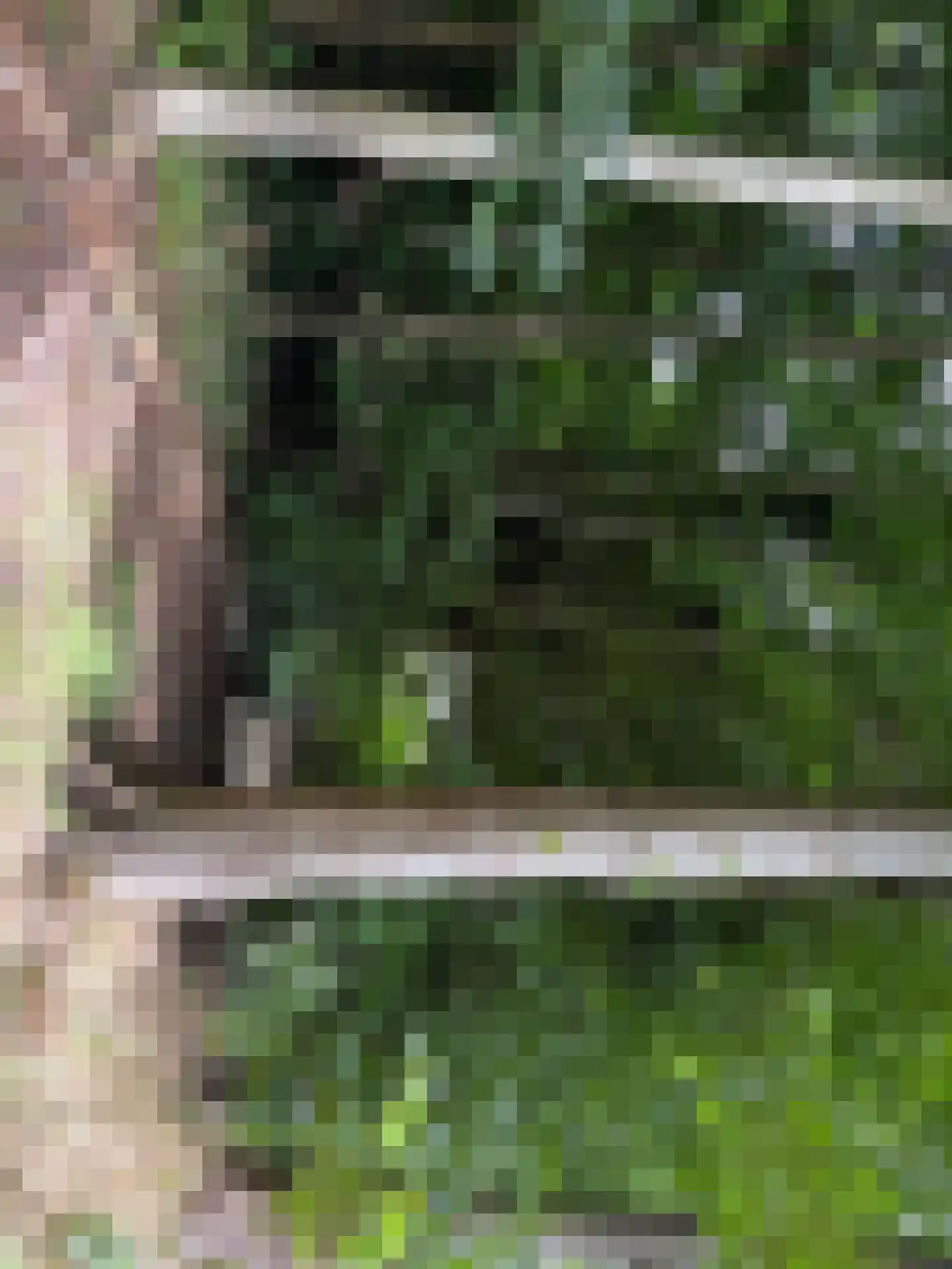 't Pad 13 Niebert thumbnail 85