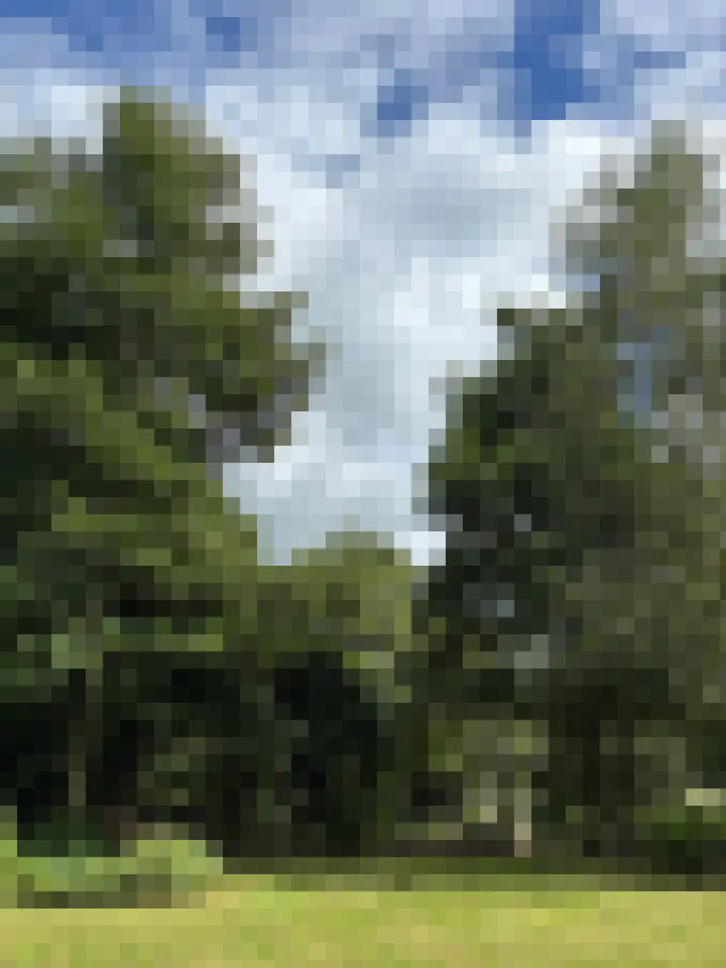 't Pad 13 Niebert thumbnail 87