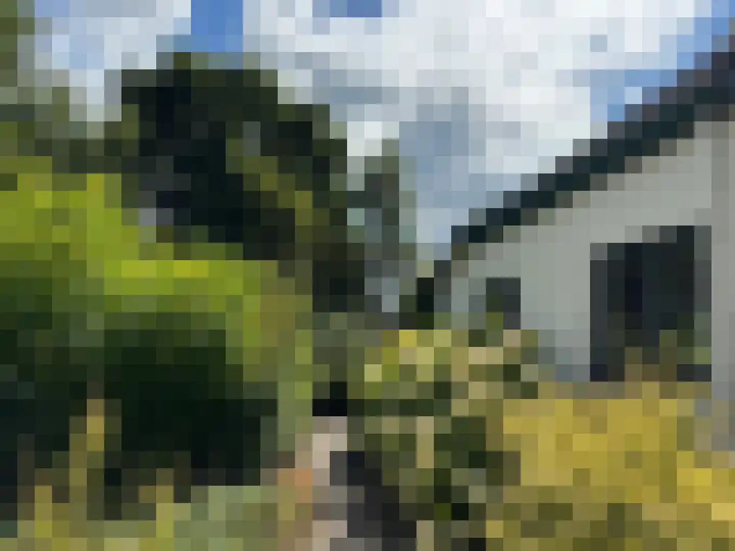 't Pad 13 Niebert thumbnail 88