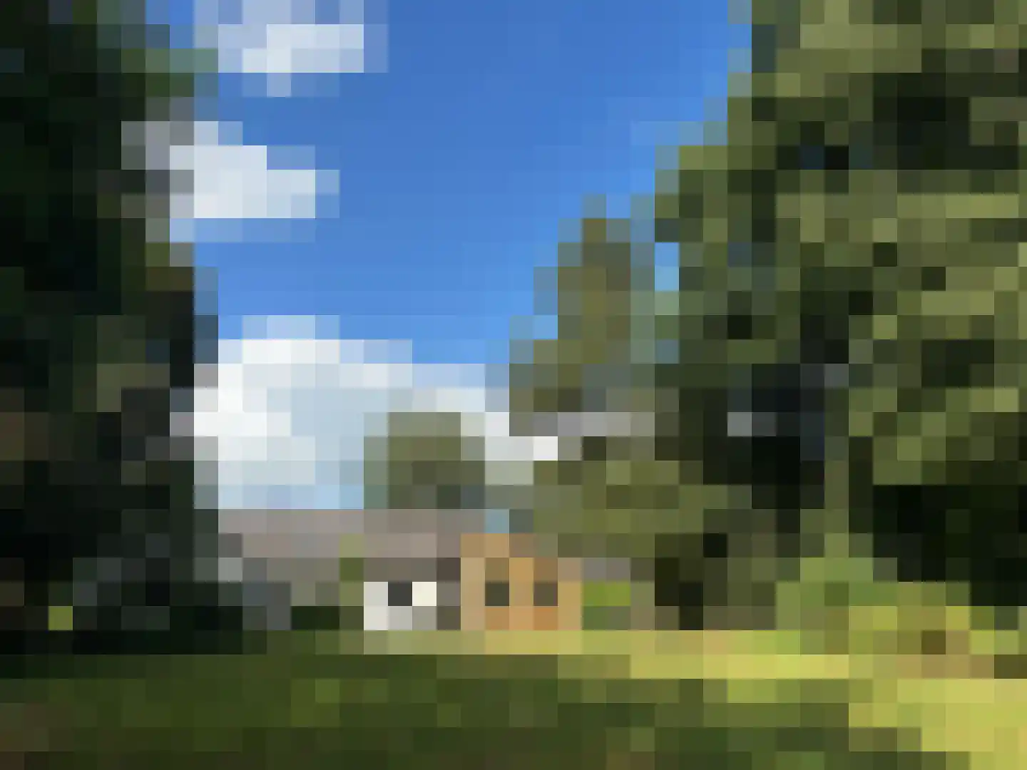 't Pad 13 Niebert thumbnail 96