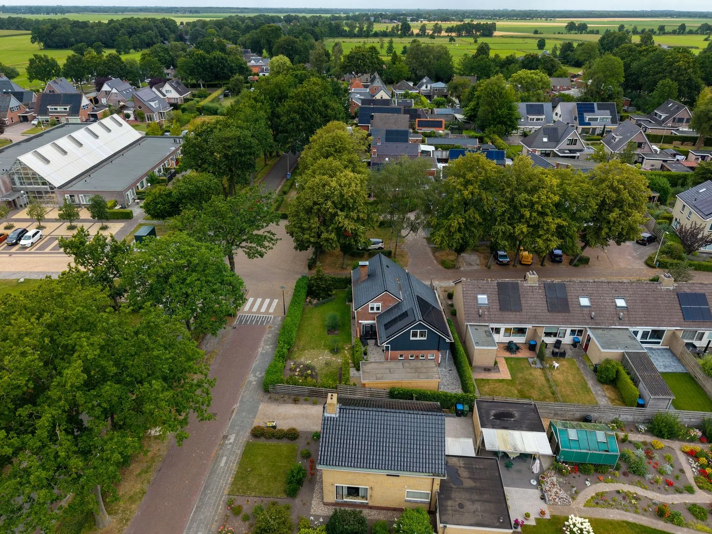 't Paed 2 Frieschepalen thumbnail 59