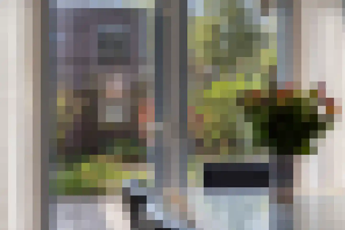 't Peppelplantsoen 12 Helmond thumbnail 20