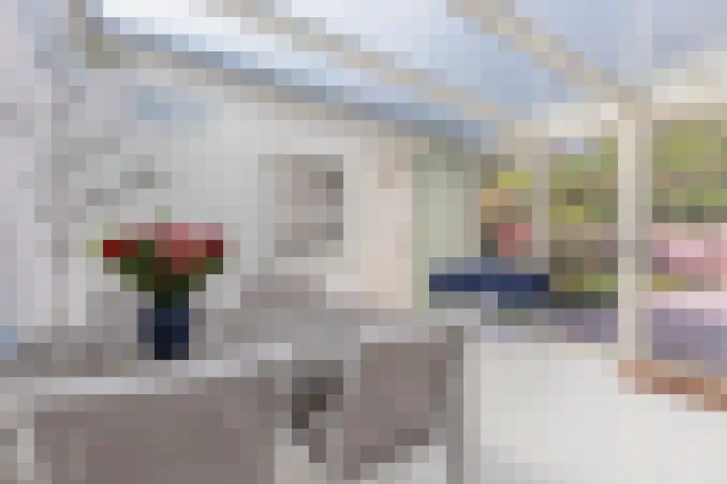 't Peppelplantsoen 12 Helmond thumbnail 25