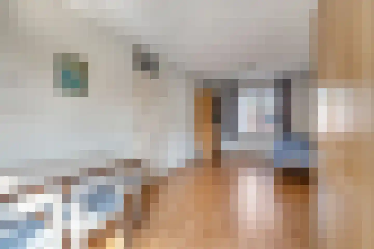 't Peppelplantsoen 12 Helmond thumbnail 37