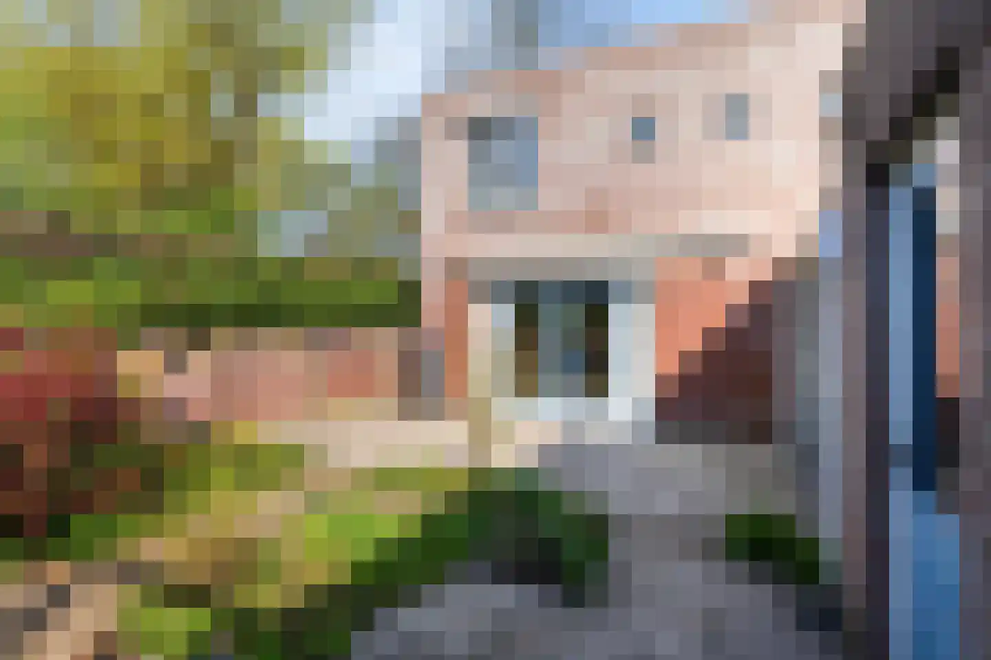 't Peppelplantsoen 12 Helmond thumbnail 40