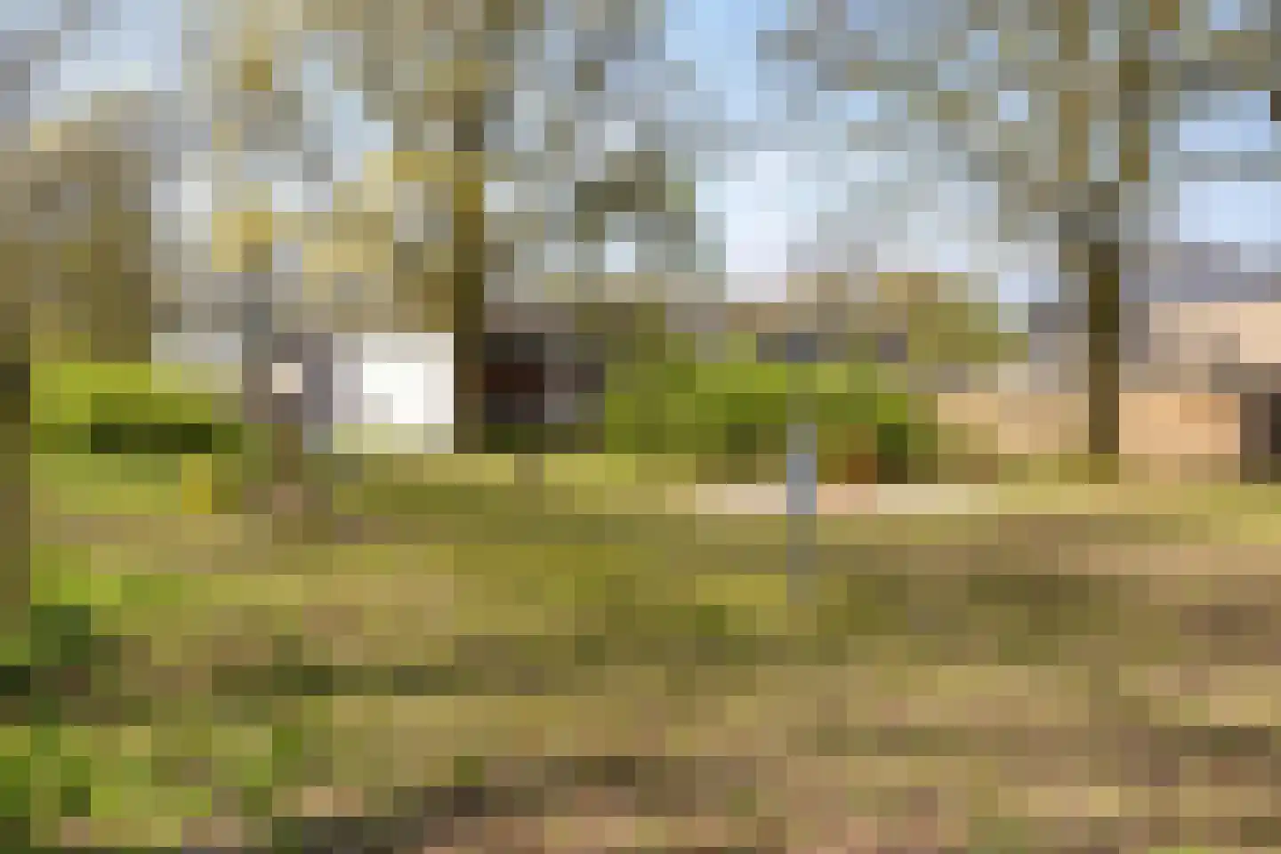 't Peppelplantsoen 12 Helmond thumbnail 43