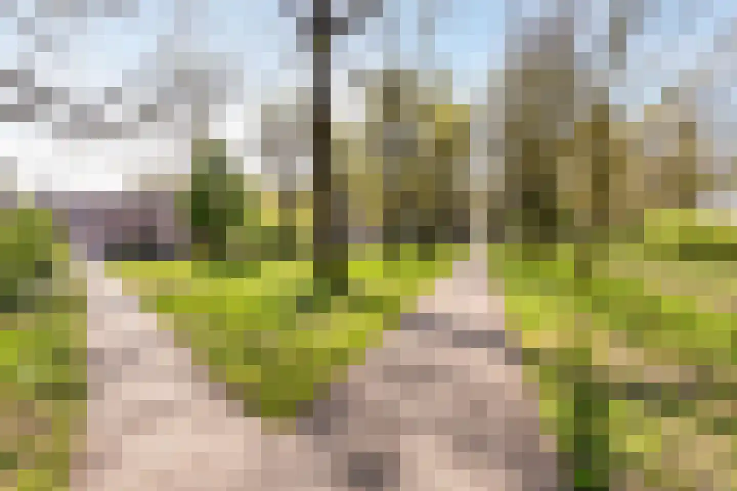't Peppelplantsoen 12 Helmond thumbnail 44