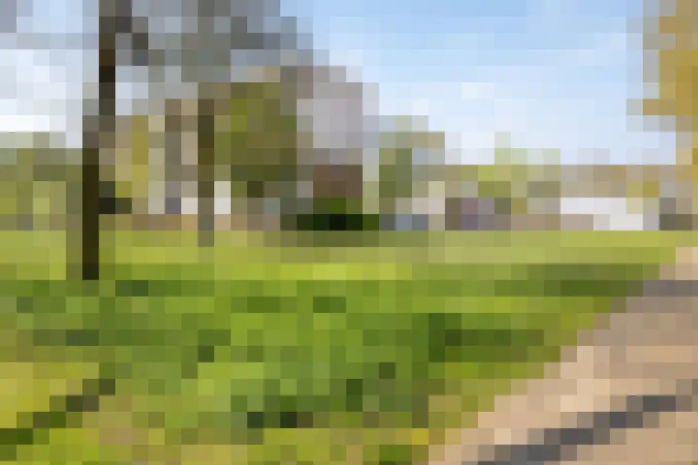 't Peppelplantsoen 12 Helmond thumbnail 45