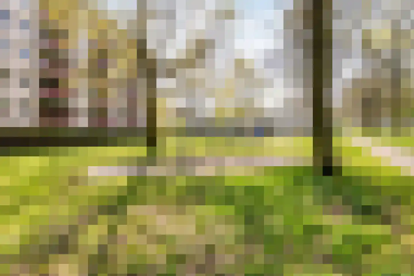 't Peppelplantsoen 12 Helmond thumbnail 46
