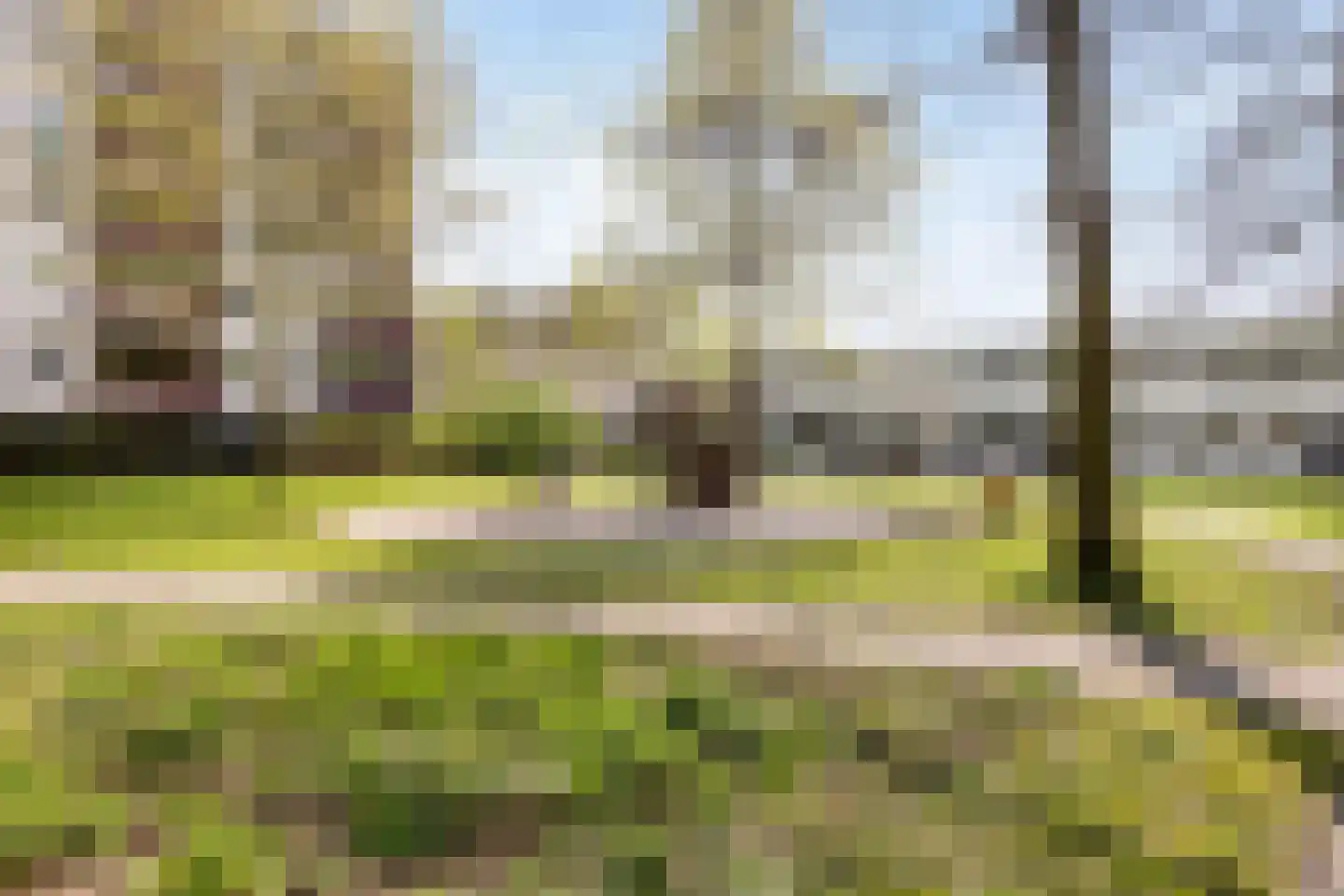 't Peppelplantsoen 12 Helmond thumbnail 47