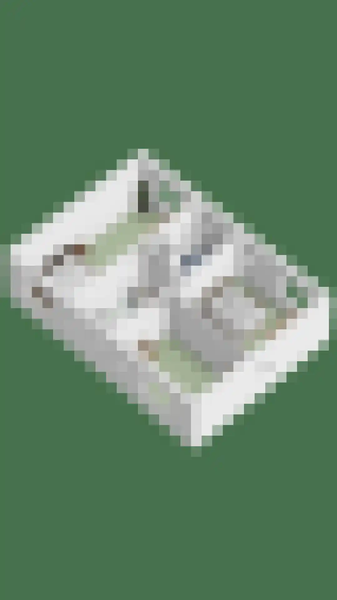 't Peppelplantsoen 12 Helmond thumbnail 56