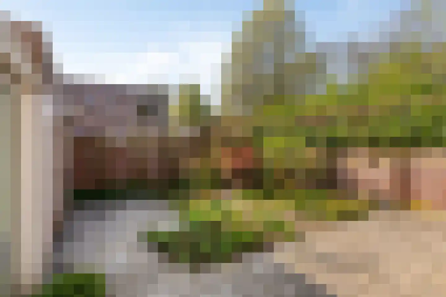 't Peppelplantsoen 12 Helmond thumbnail 6