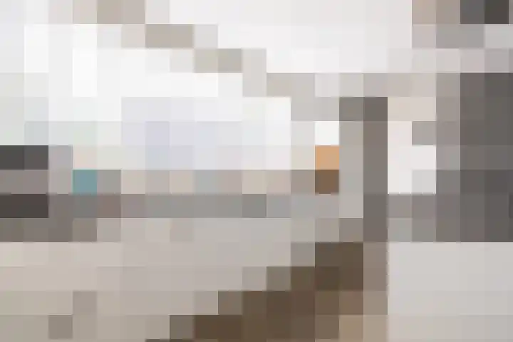 't Plankenpad 16 Landsmeer thumbnail 10