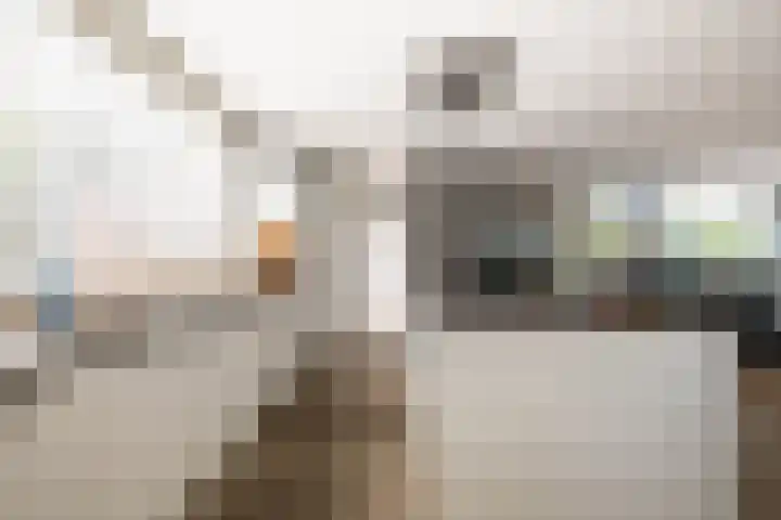't Plankenpad 16 Landsmeer thumbnail 11