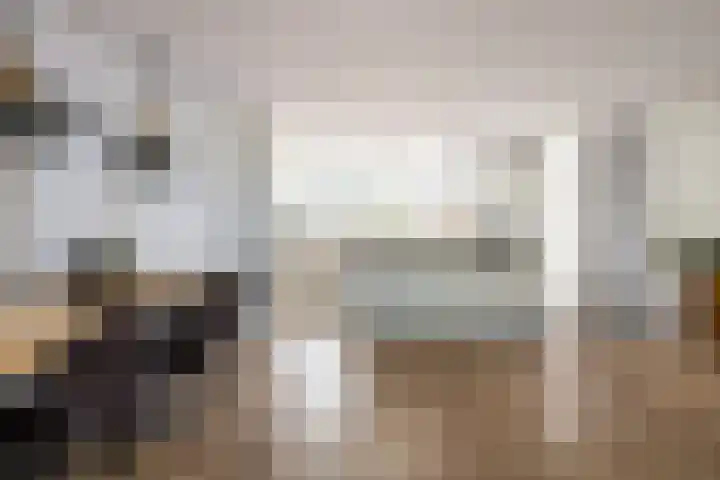 't Plankenpad 16 Landsmeer thumbnail 13