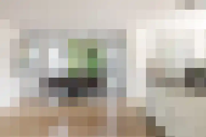 't Plankenpad 16 Landsmeer thumbnail 14
