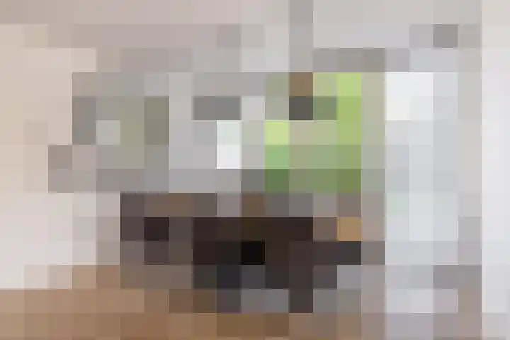 't Plankenpad 16 Landsmeer thumbnail 15