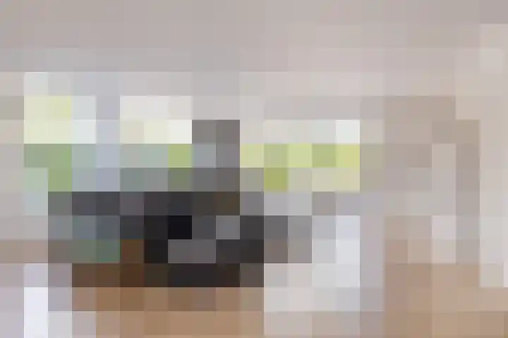 't Plankenpad 16 Landsmeer thumbnail 16
