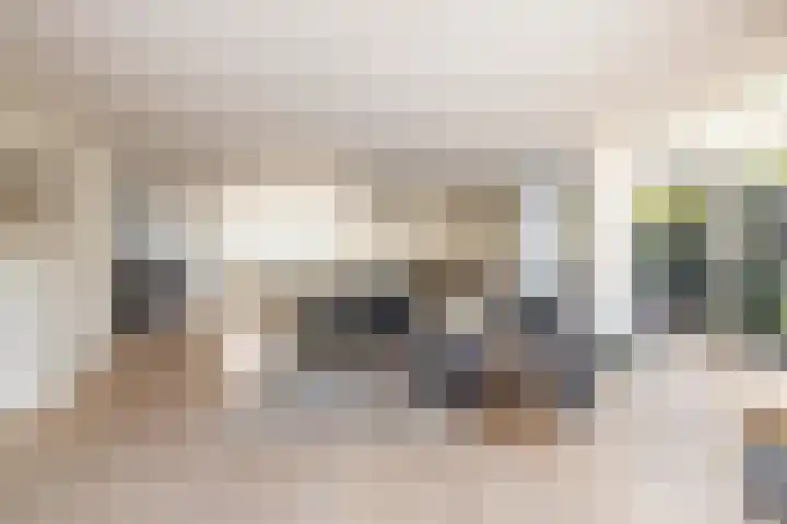 't Plankenpad 16 Landsmeer thumbnail 20