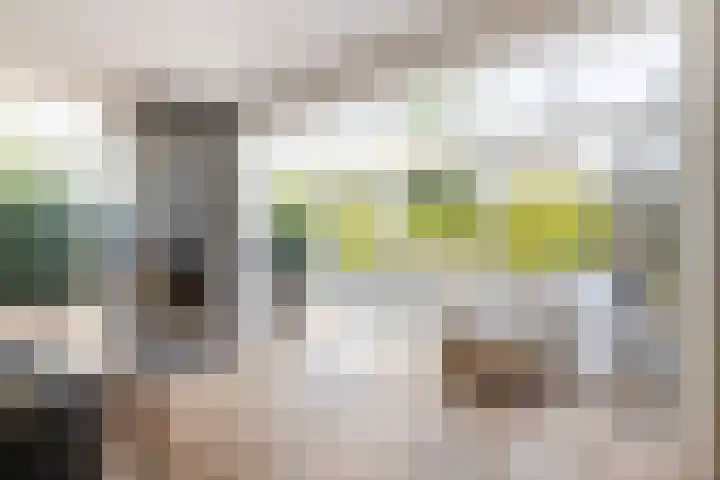 't Plankenpad 16 Landsmeer thumbnail 21