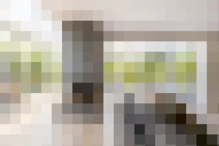 't Plankenpad 16 Landsmeer thumbnail 22