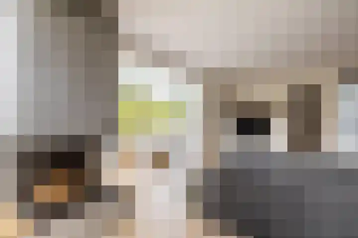 't Plankenpad 16 Landsmeer thumbnail 23