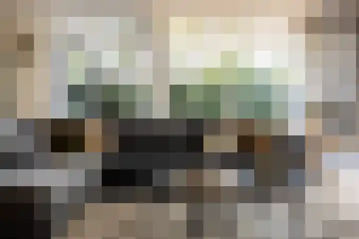 't Plankenpad 16 Landsmeer thumbnail 24