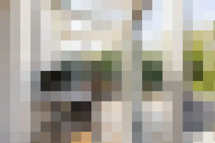 't Plankenpad 16 Landsmeer thumbnail 25