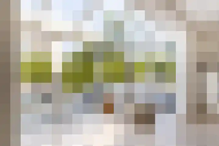 't Plankenpad 16 Landsmeer thumbnail 26