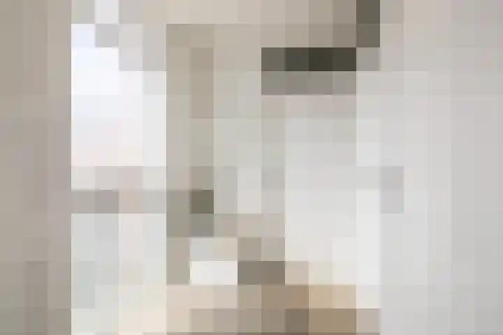 't Plankenpad 16 Landsmeer thumbnail 27