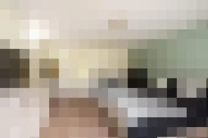 't Plankenpad 16 Landsmeer thumbnail 29