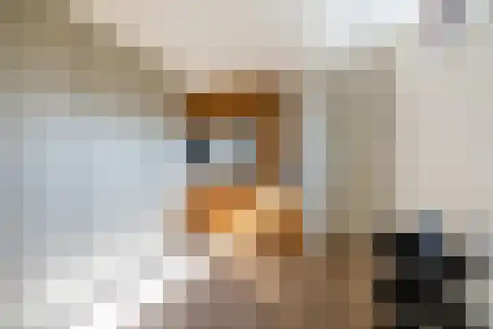 't Plankenpad 16 Landsmeer thumbnail 31