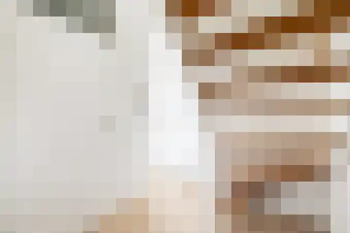 't Plankenpad 16 Landsmeer thumbnail 33