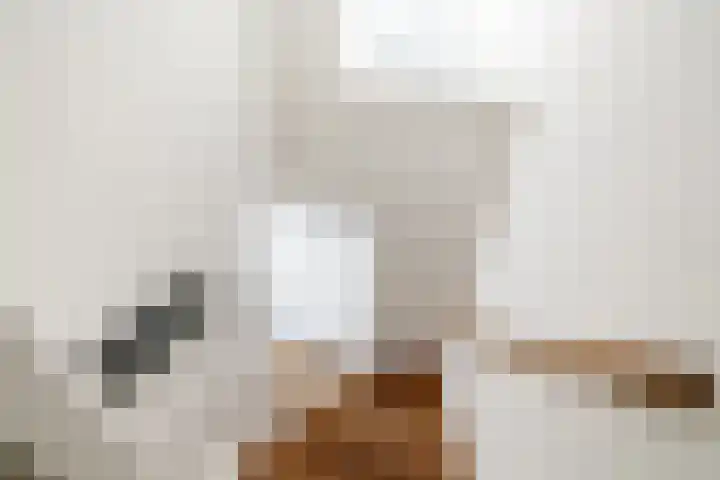 't Plankenpad 16 Landsmeer thumbnail 34