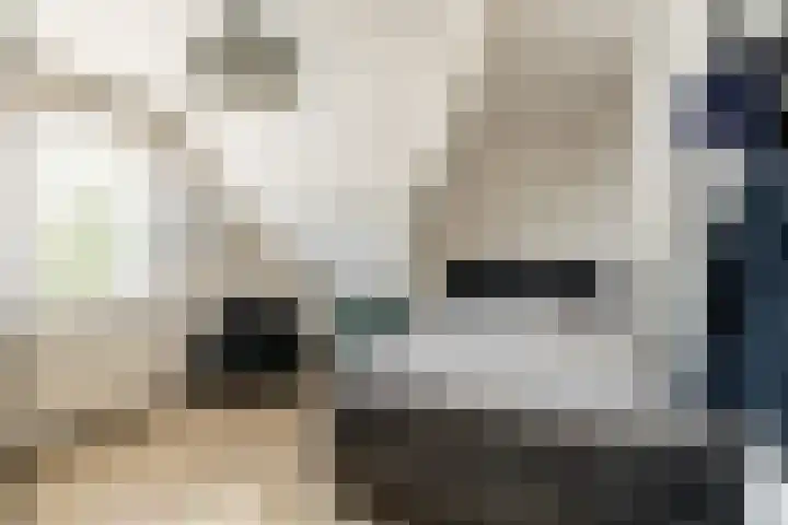 't Plankenpad 16 Landsmeer thumbnail 36