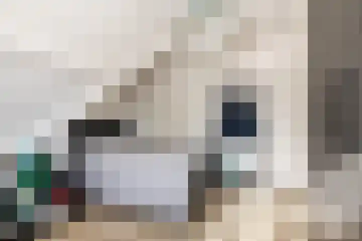 't Plankenpad 16 Landsmeer thumbnail 38