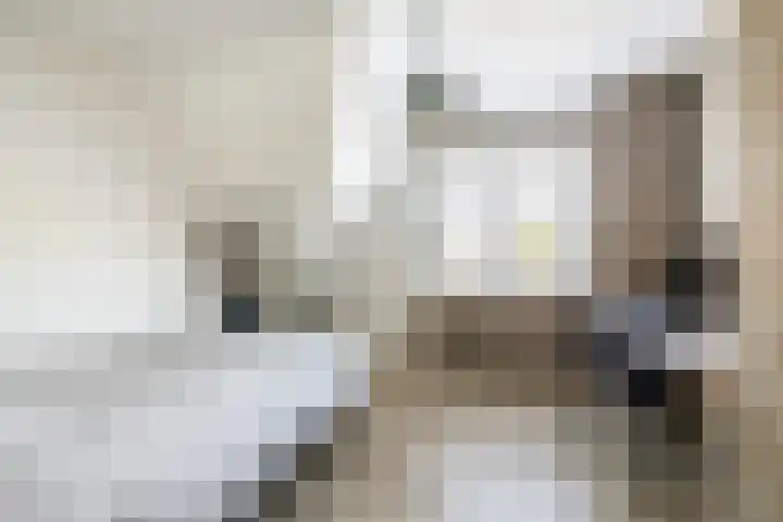 't Plankenpad 16 Landsmeer thumbnail 40