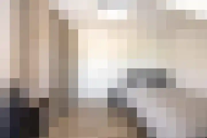 't Plankenpad 16 Landsmeer thumbnail 41