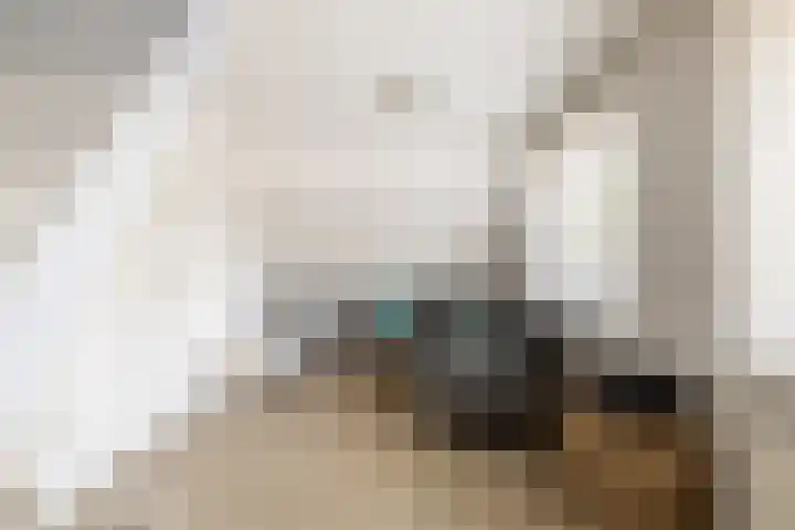 't Plankenpad 16 Landsmeer thumbnail 42