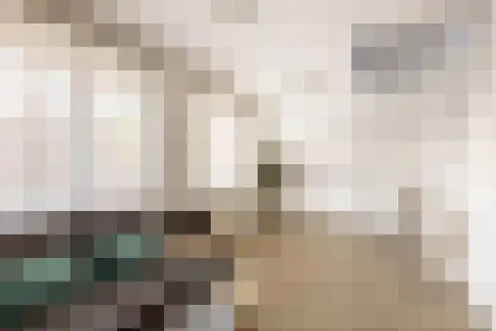't Plankenpad 16 Landsmeer thumbnail 43