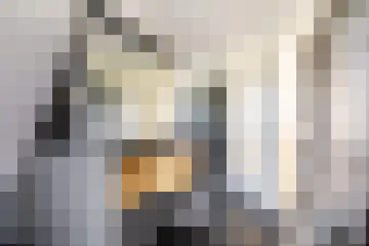 't Plankenpad 16 Landsmeer thumbnail 46