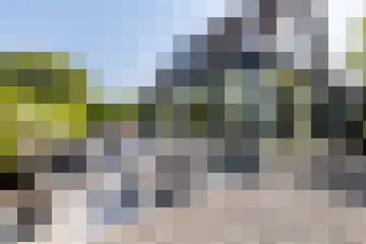 't Plankenpad 16 Landsmeer thumbnail 48