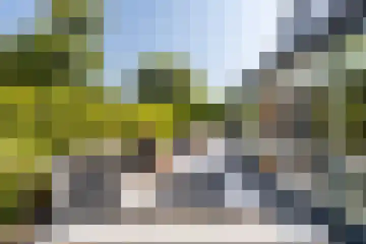 't Plankenpad 16 Landsmeer thumbnail 49