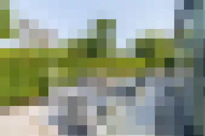 't Plankenpad 16 Landsmeer thumbnail 5