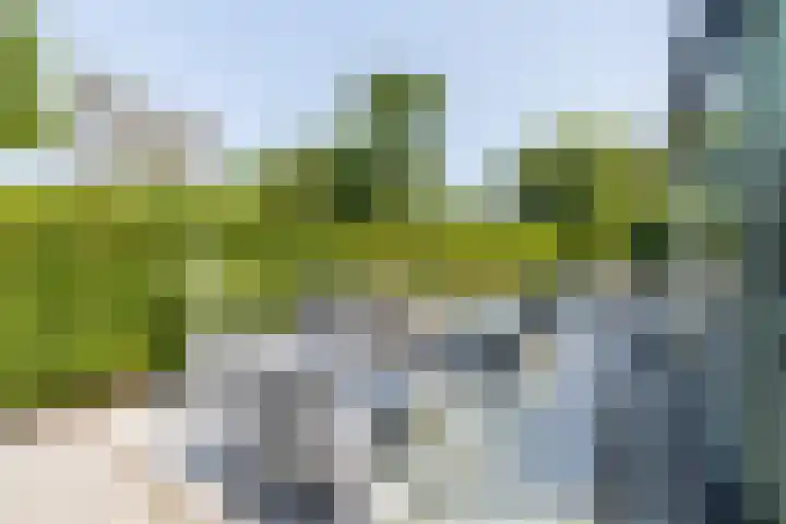 't Plankenpad 16 Landsmeer thumbnail 50